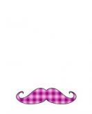 Bigode RD BG07