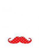 Bigode RD BG05