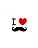 Bigode RD BG08
