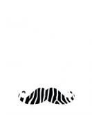 Bigode RD BG04