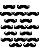 Bigode RD BG12