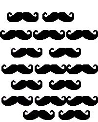 Bigode RD BG12